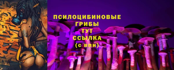 синтетический гашиш Белокуриха