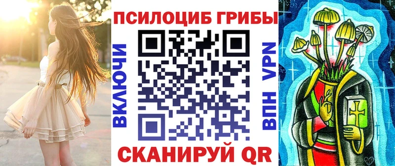 наркота  Бирюсинск  Галлюциногенные грибы Psilocybe 
